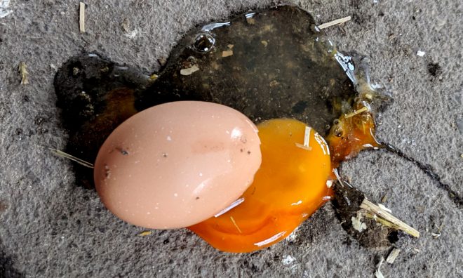 Das erste Ei